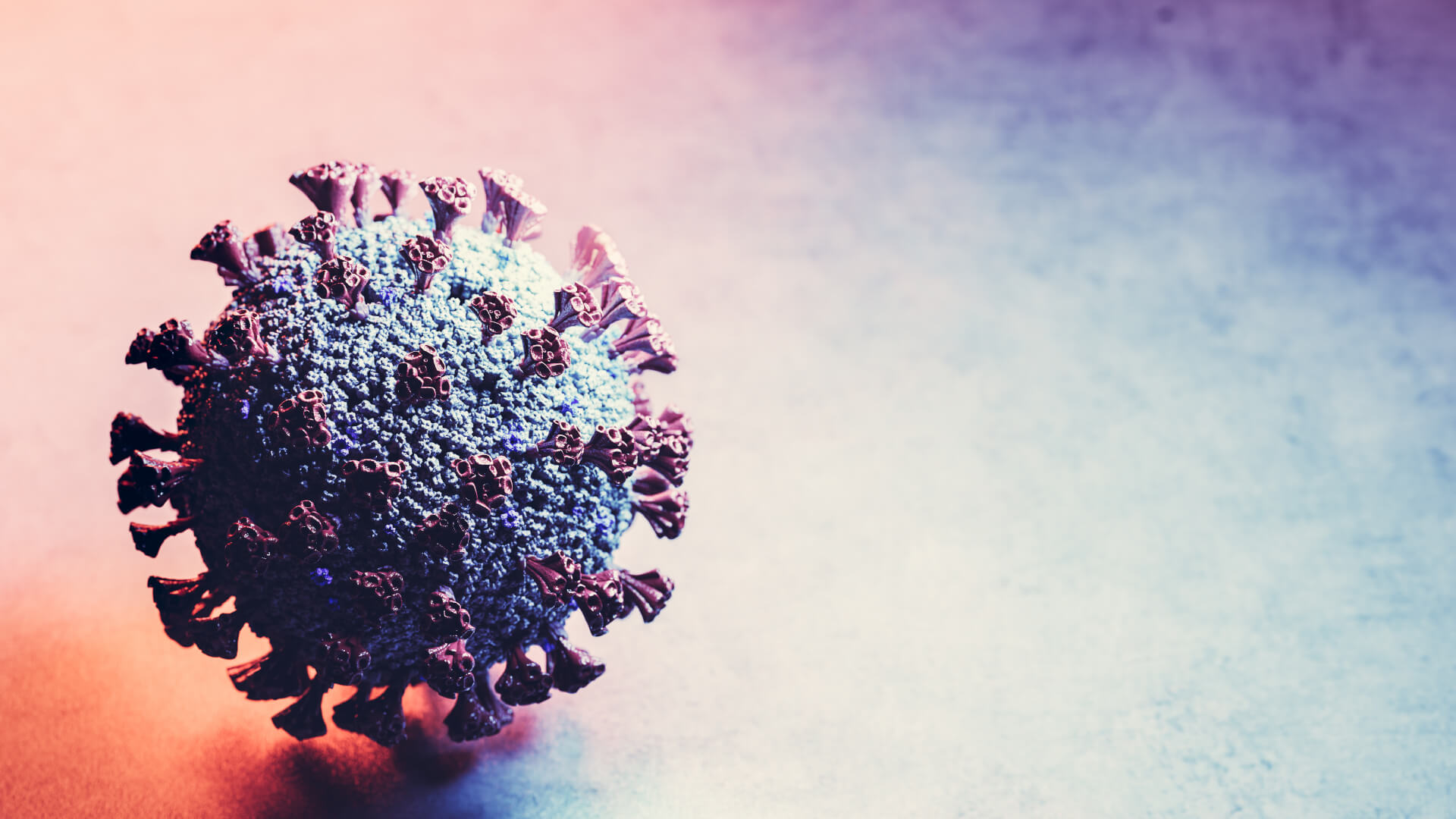 Acompanhando a evolução dos meios de diagnóstico rápido e eficaz da infeção pelo vírus SARS-CoV-2